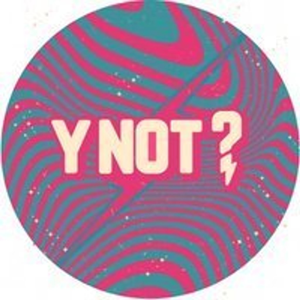 Y Not Festival