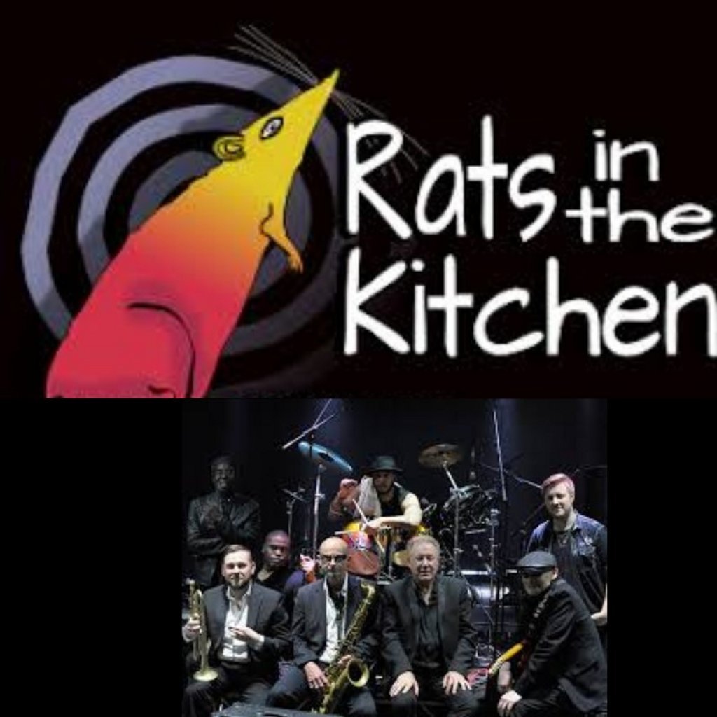 Rats In The Kitchen