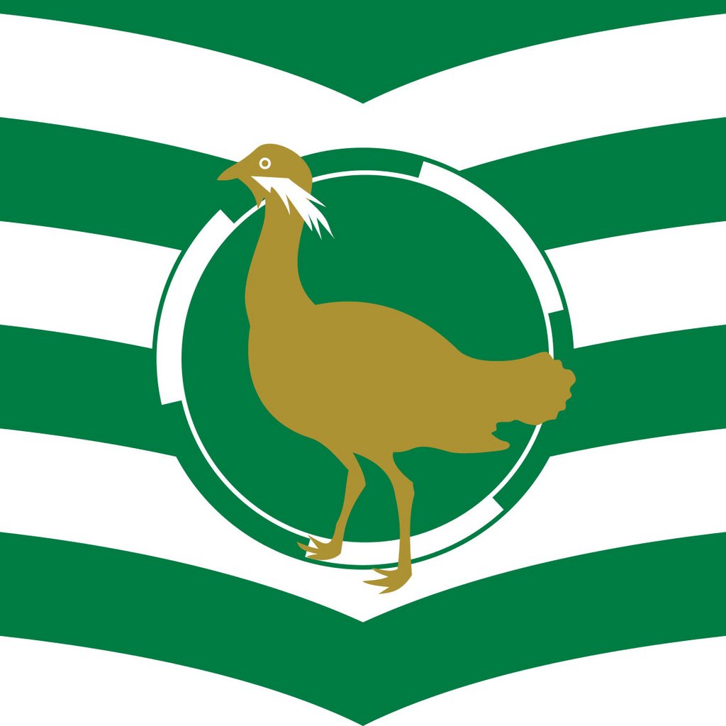 Swindon Balloon Festival