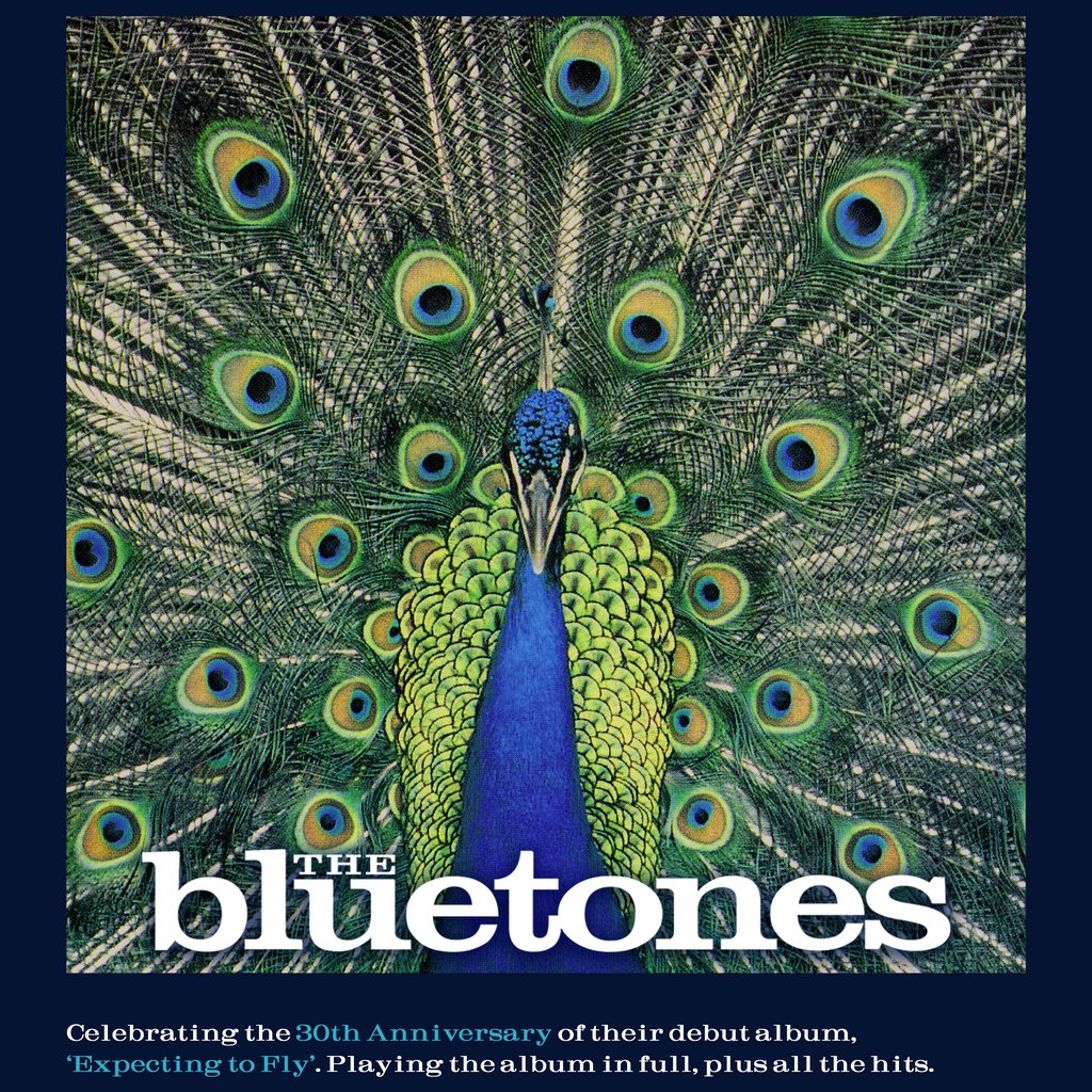 The Bluetones: 'Expecting To Fly' 30th Anniversary Tour