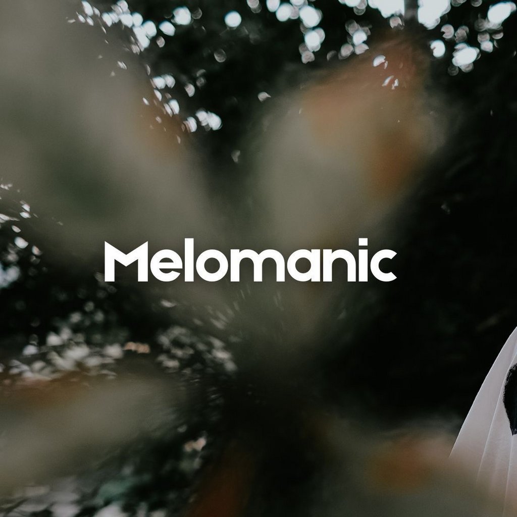 Melomanic @ Sunrooms2