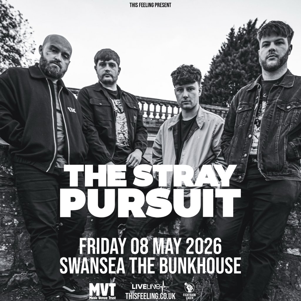 The Stray Pursuit - Swansea