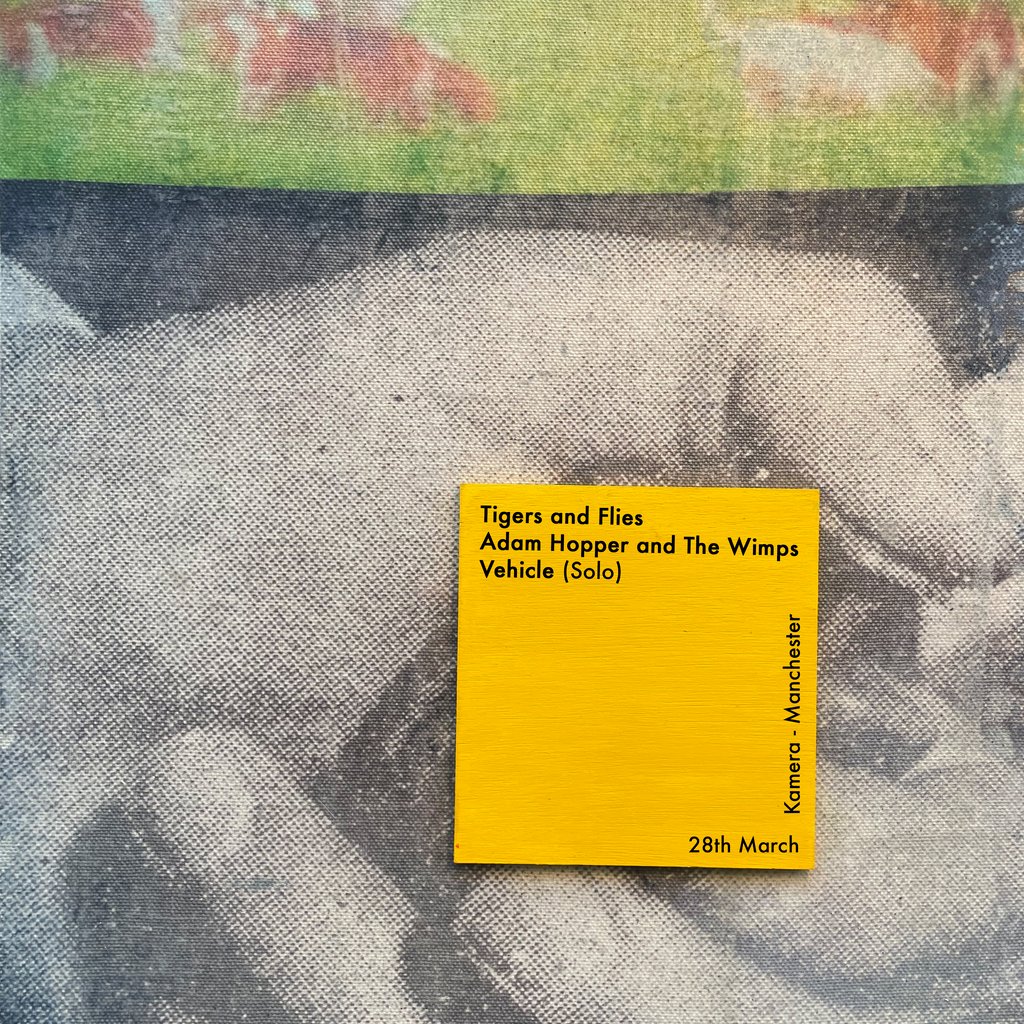 Tigers and Flies LP Fundraiser! W/ Adam Hopper + Vehicle (Solo)