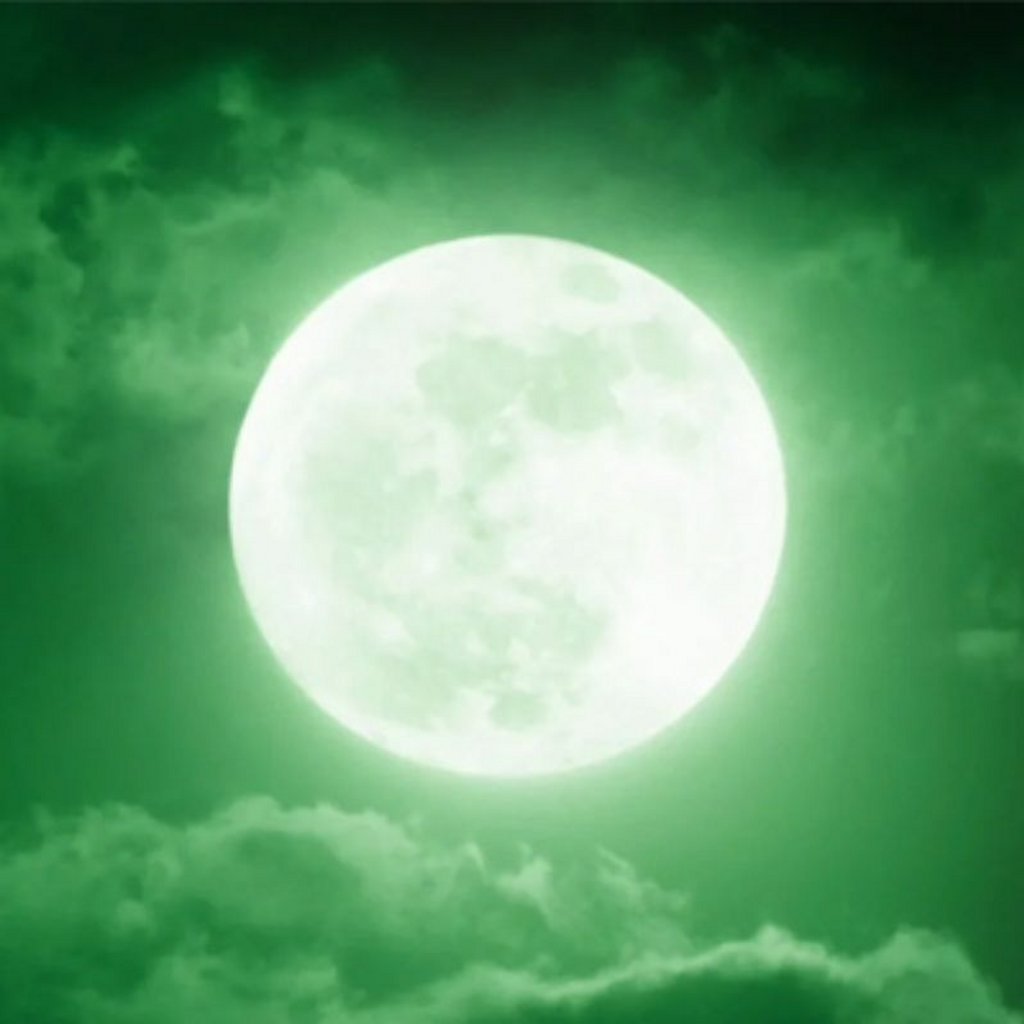 The Freedom Experience