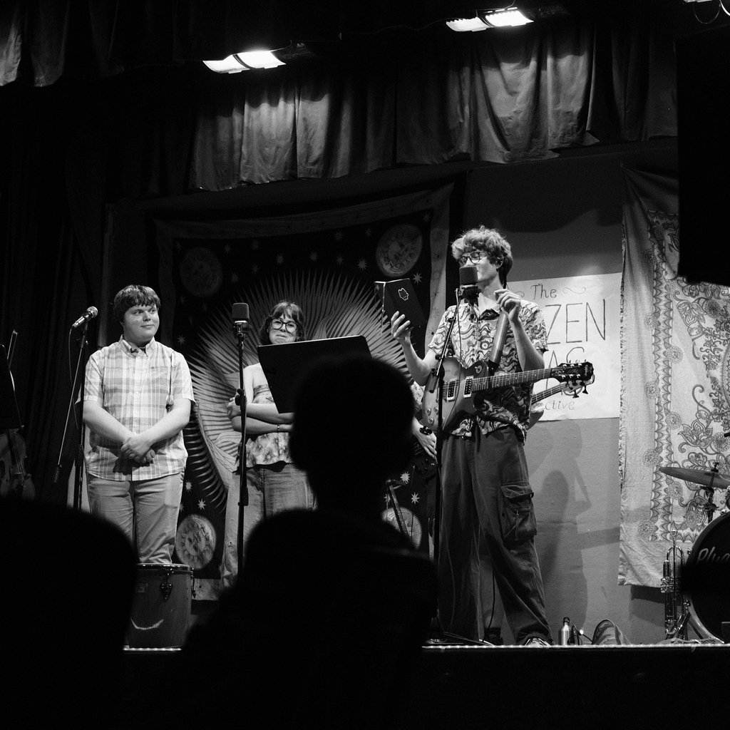 The Frozen Peas Collective: Songs, Stories & Mild Chaos