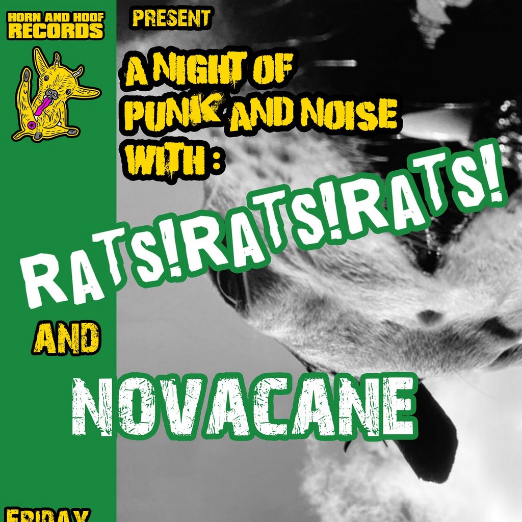 Punk Rock At The Blossoms