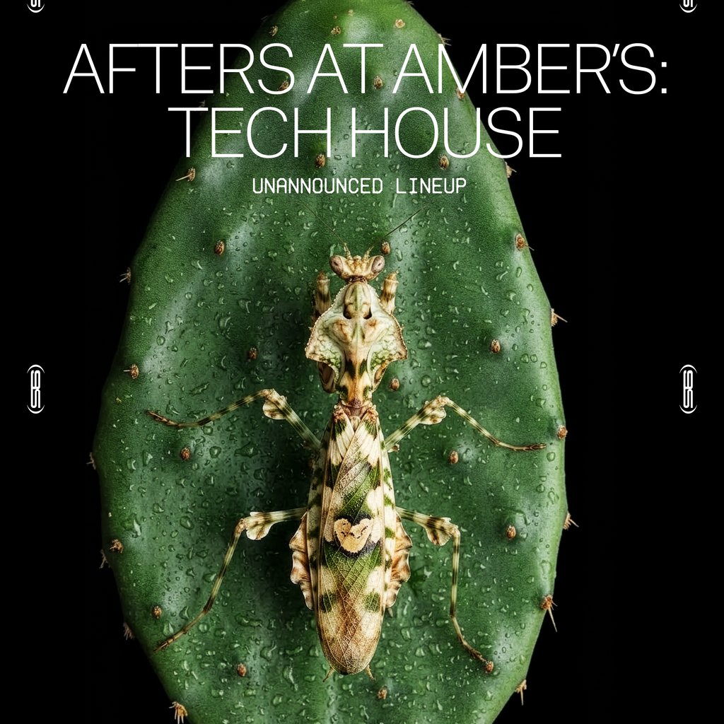 Afters at Amber's: Tech House (Unannounced Line Up)