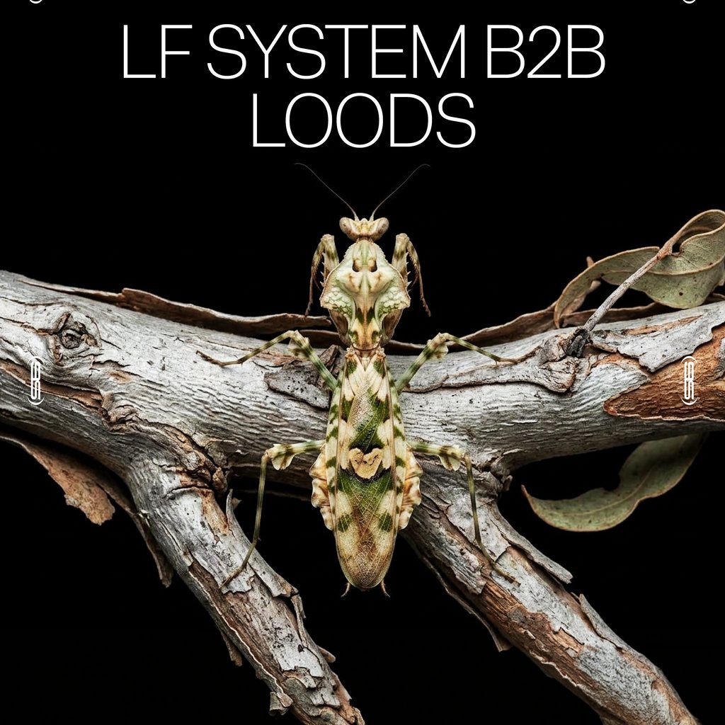 Amber's Presents: LF System b2b Loods
