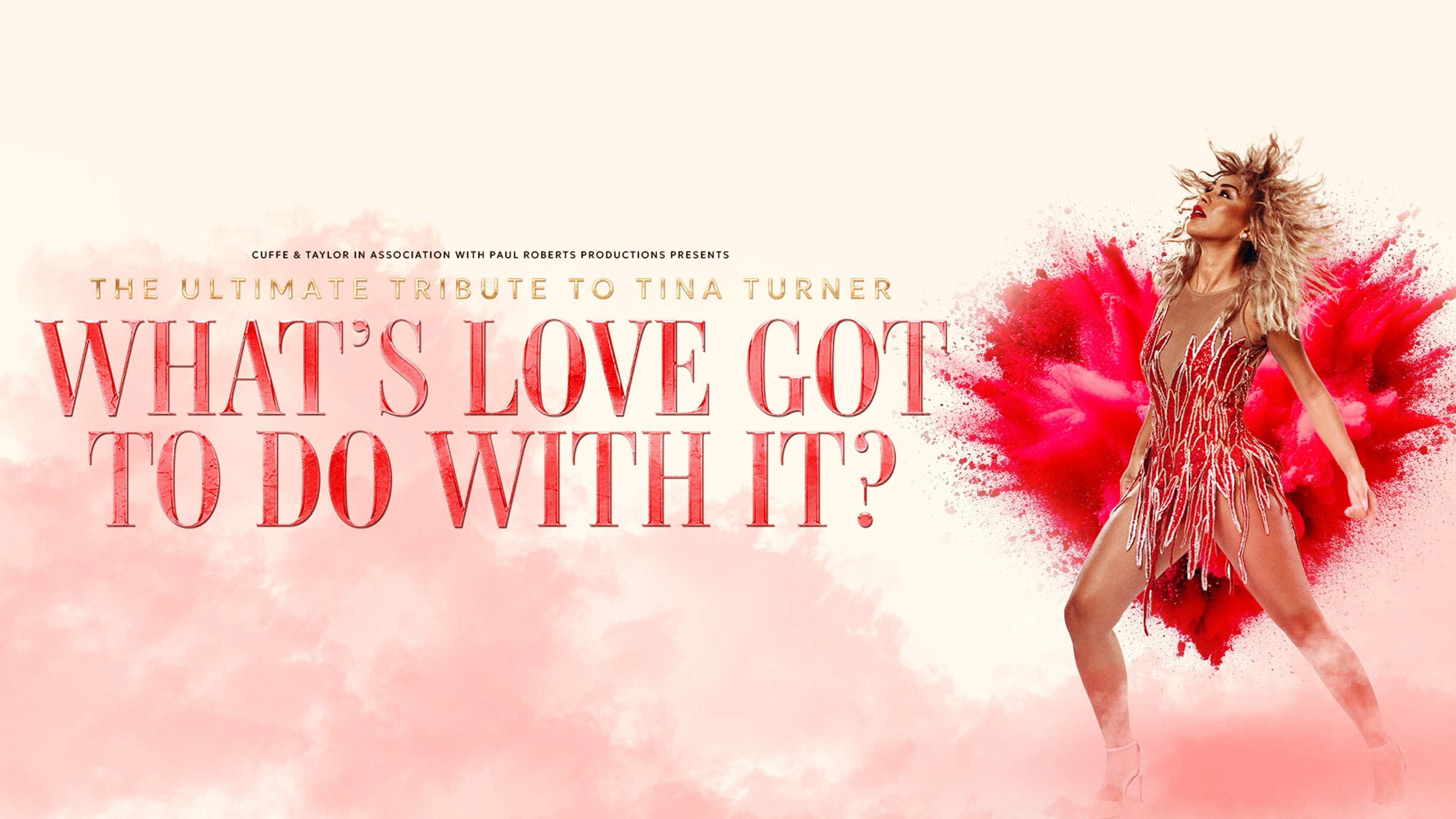 What's Love Got To Do With It? - Live Lounge Premium Package