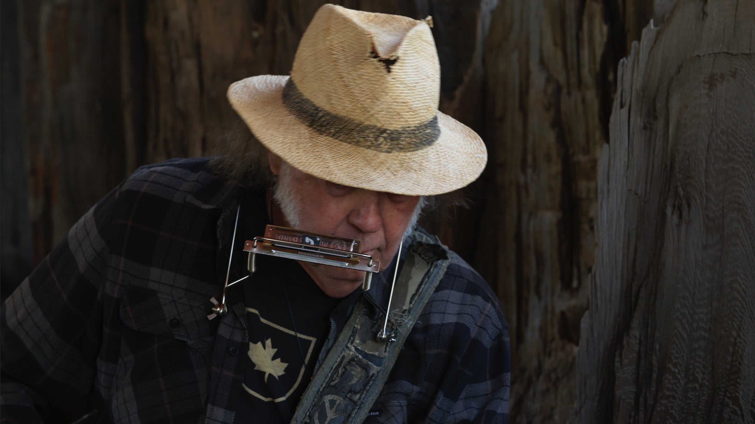 Neil Young and The Chrome Hearts