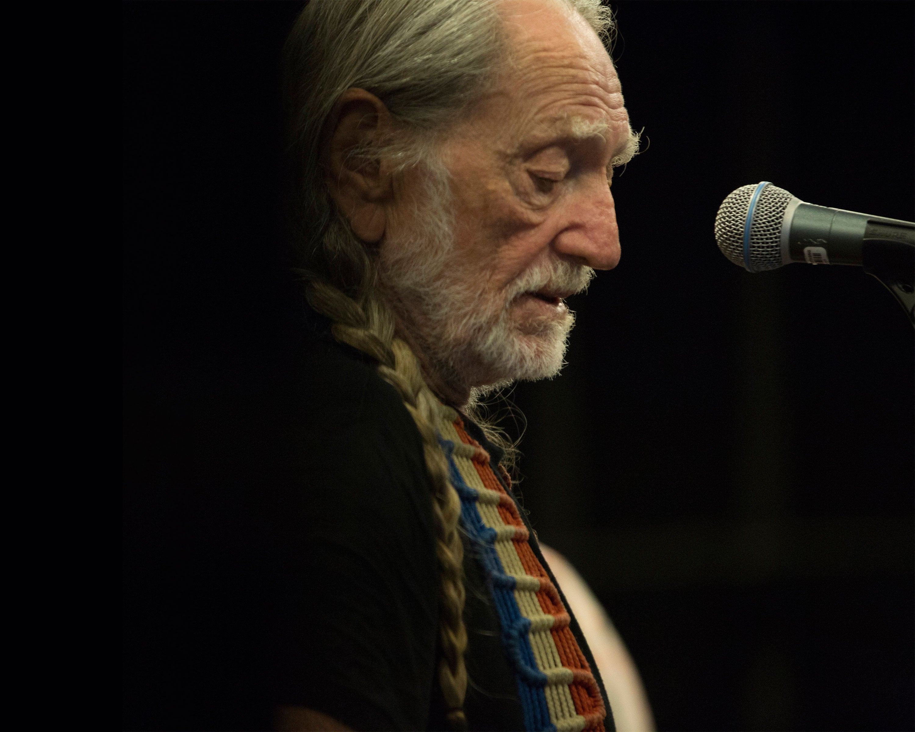 Willie Nelson's 4th of July Picnic and Fireworks