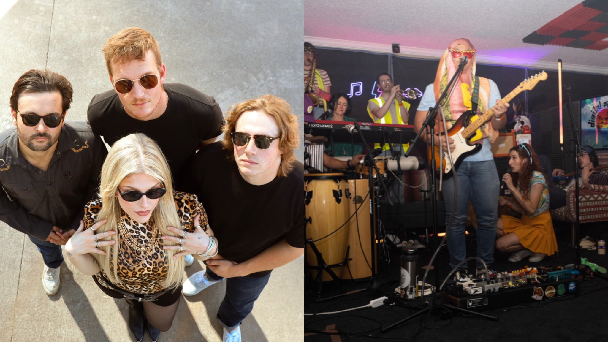 Animal Arcade & Blue Tongue