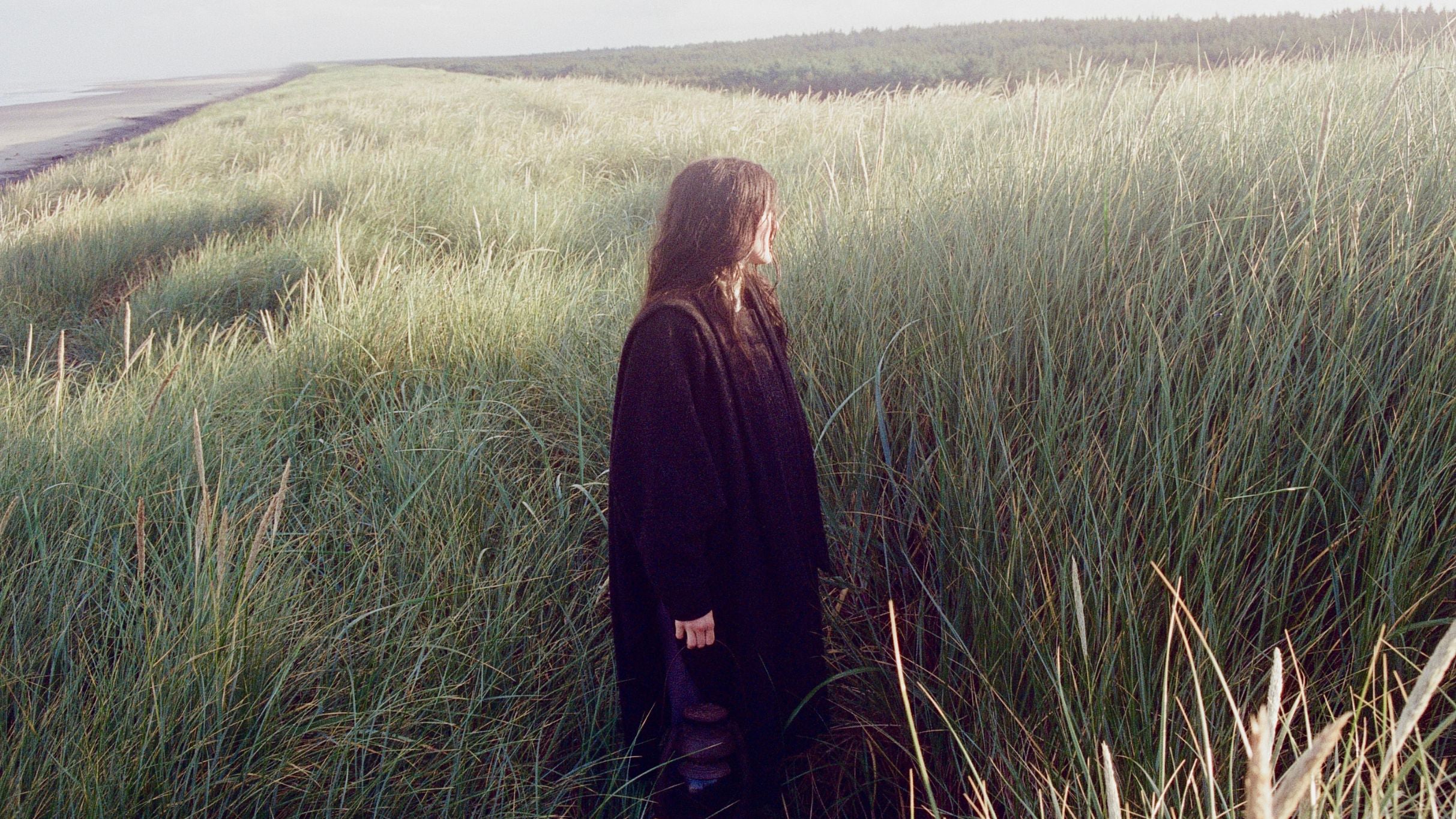 Searows: Death in the Business of Whaling