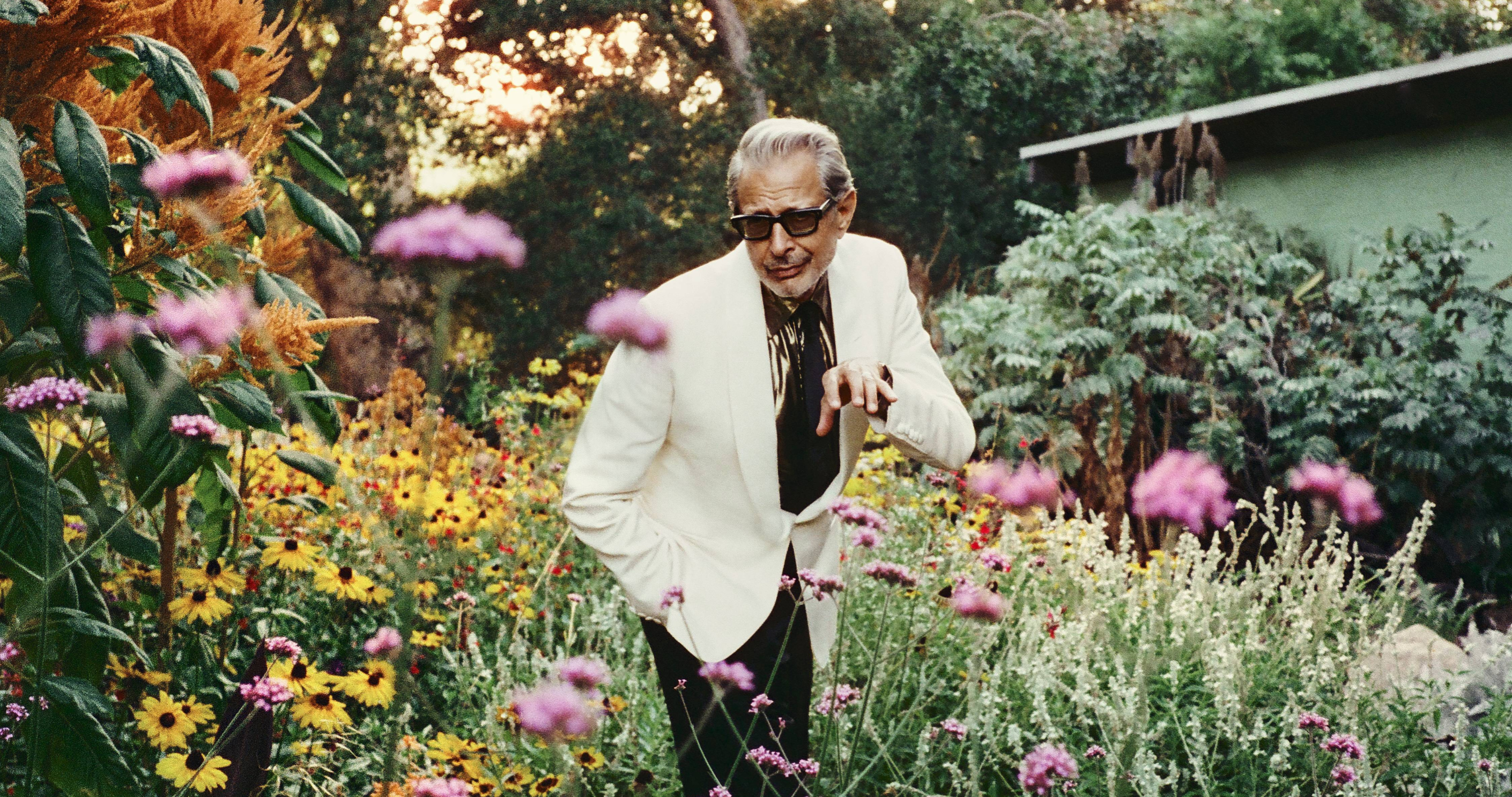 Jeff Goldblum & The Mildred Snitzer Orchestra: The Night Blooms World