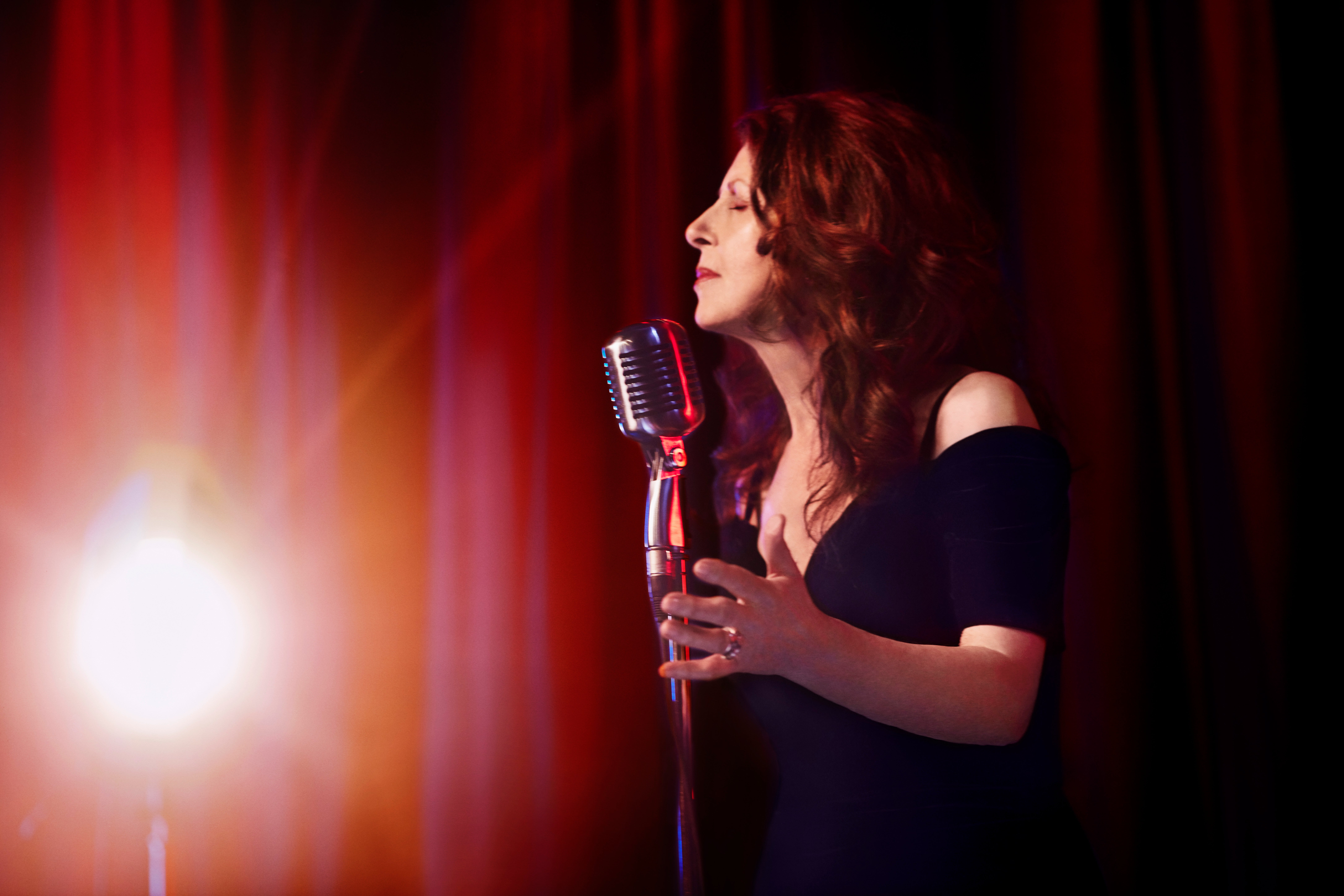 Elkie Brooks: Live In Concert - The Long Farewell Tour