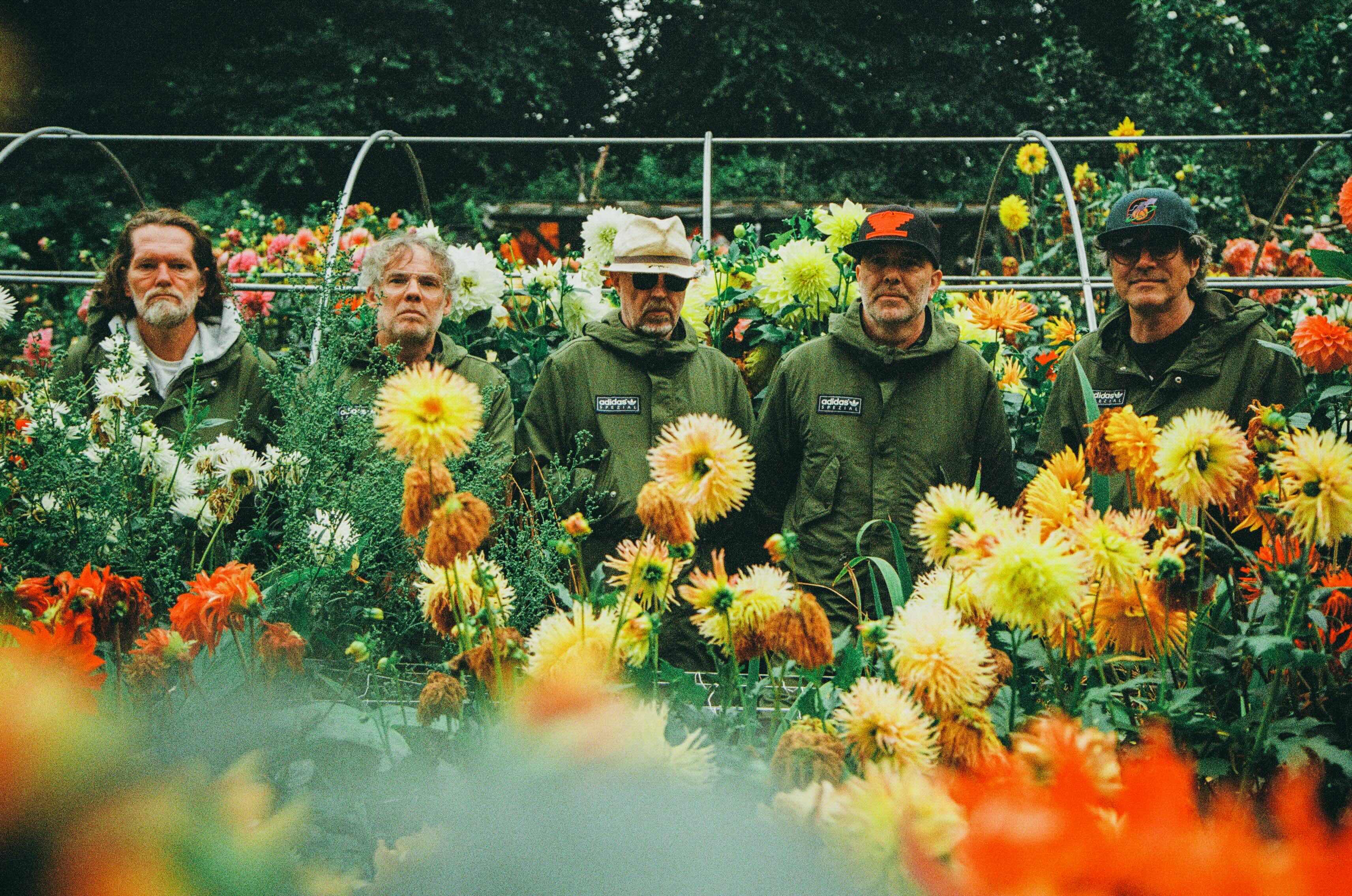 Super Furry Animals - Official Ticket and Hotel Bundls