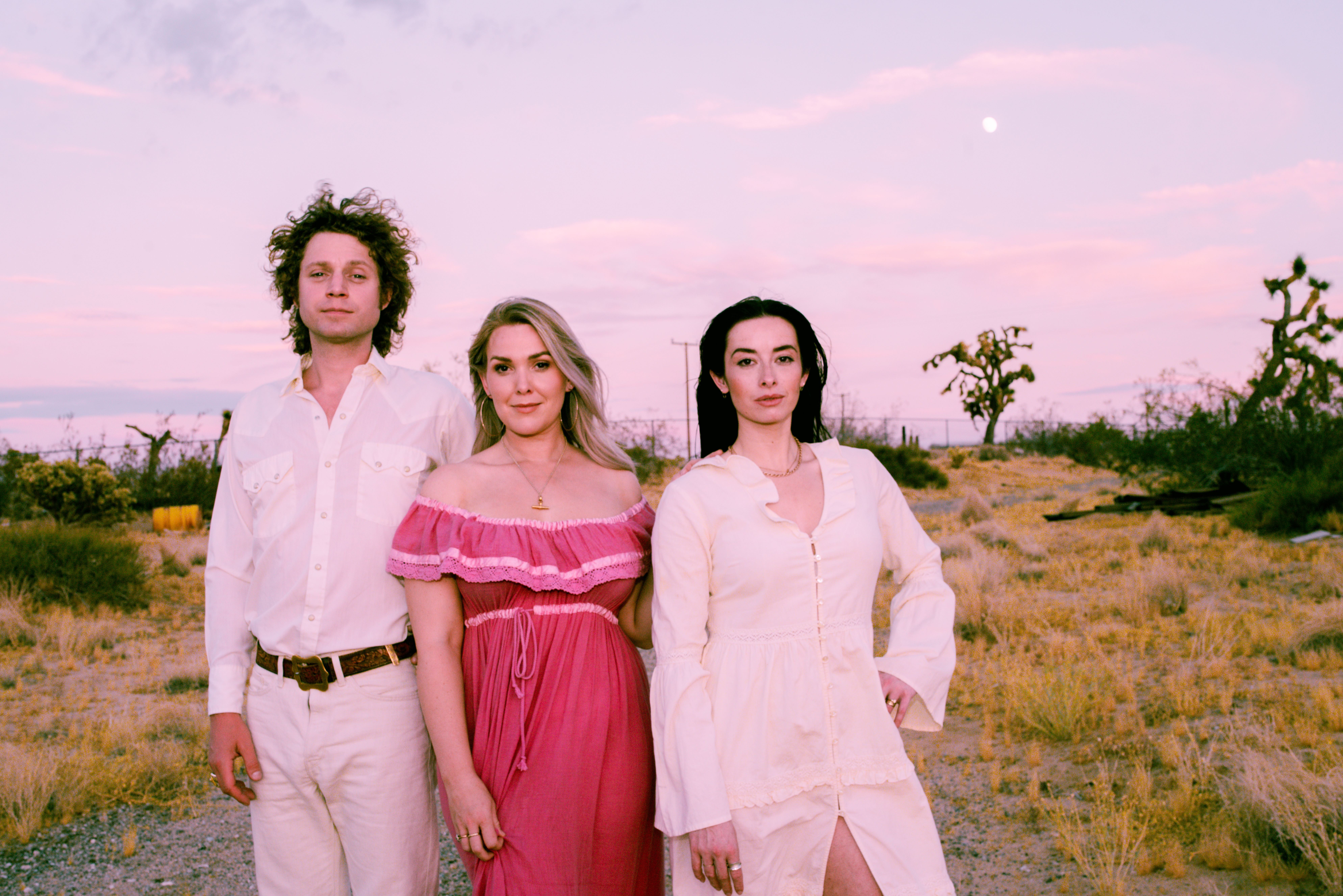 DÉJÀ VU by The Wandering Hearts