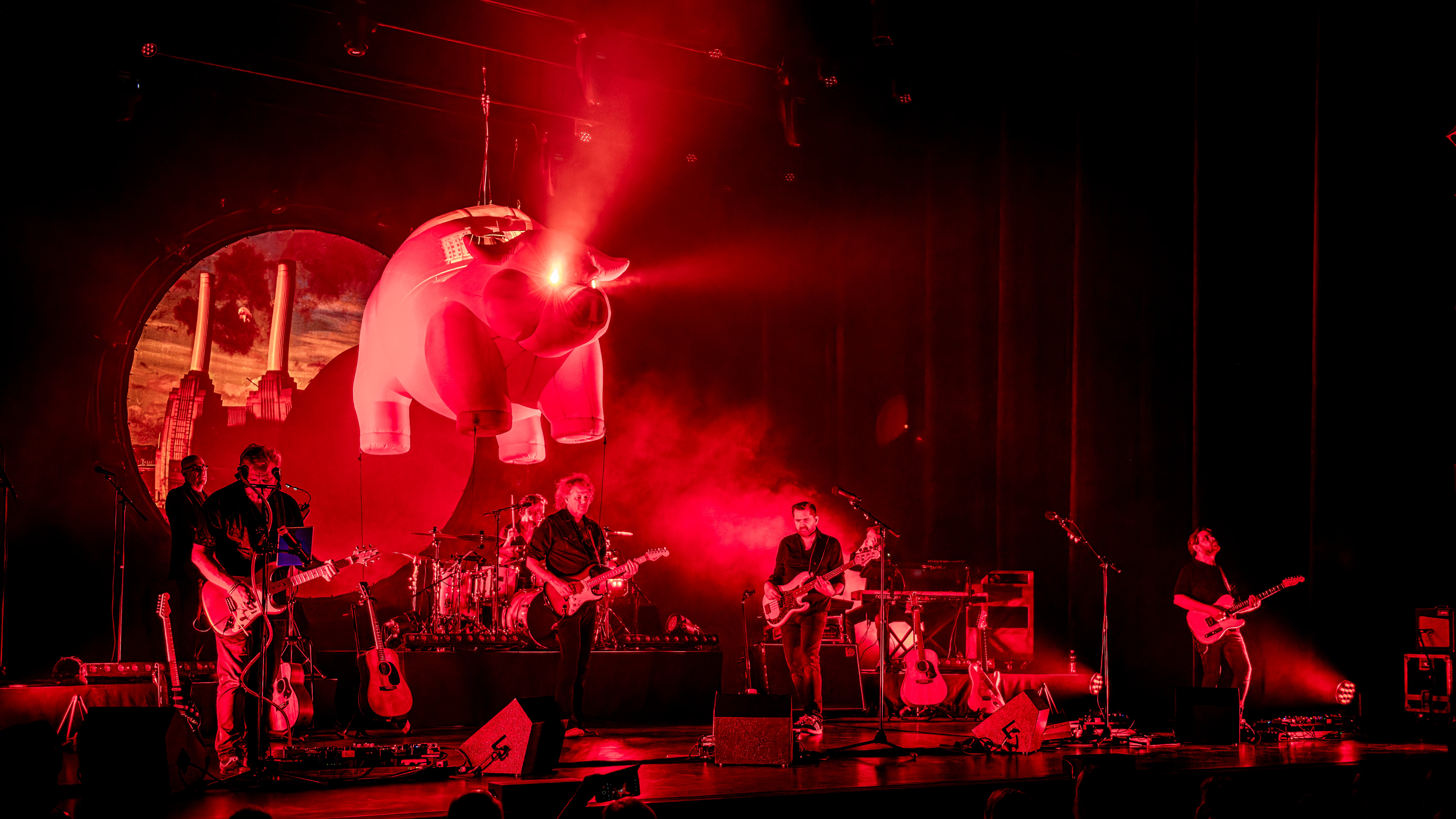 Zuiderpark Live: Pink Project