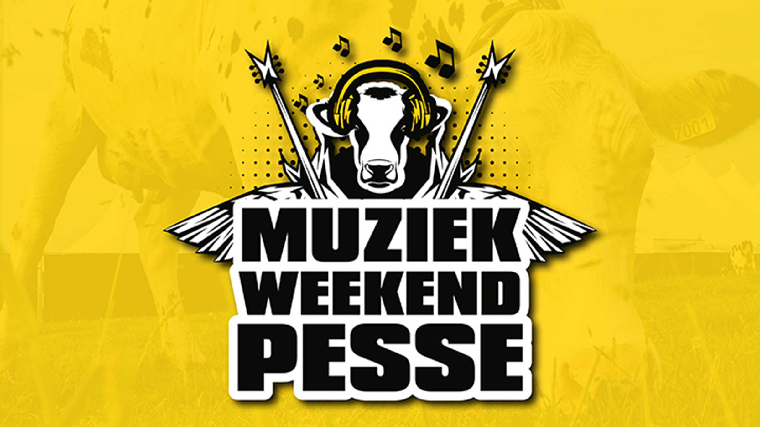 Muziekweekend Pesse | Dayticket Friday