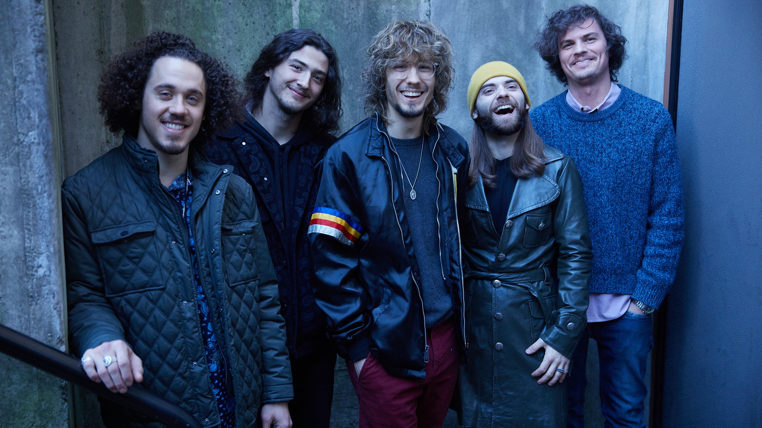 Dogs In A Pile - Spring 2026