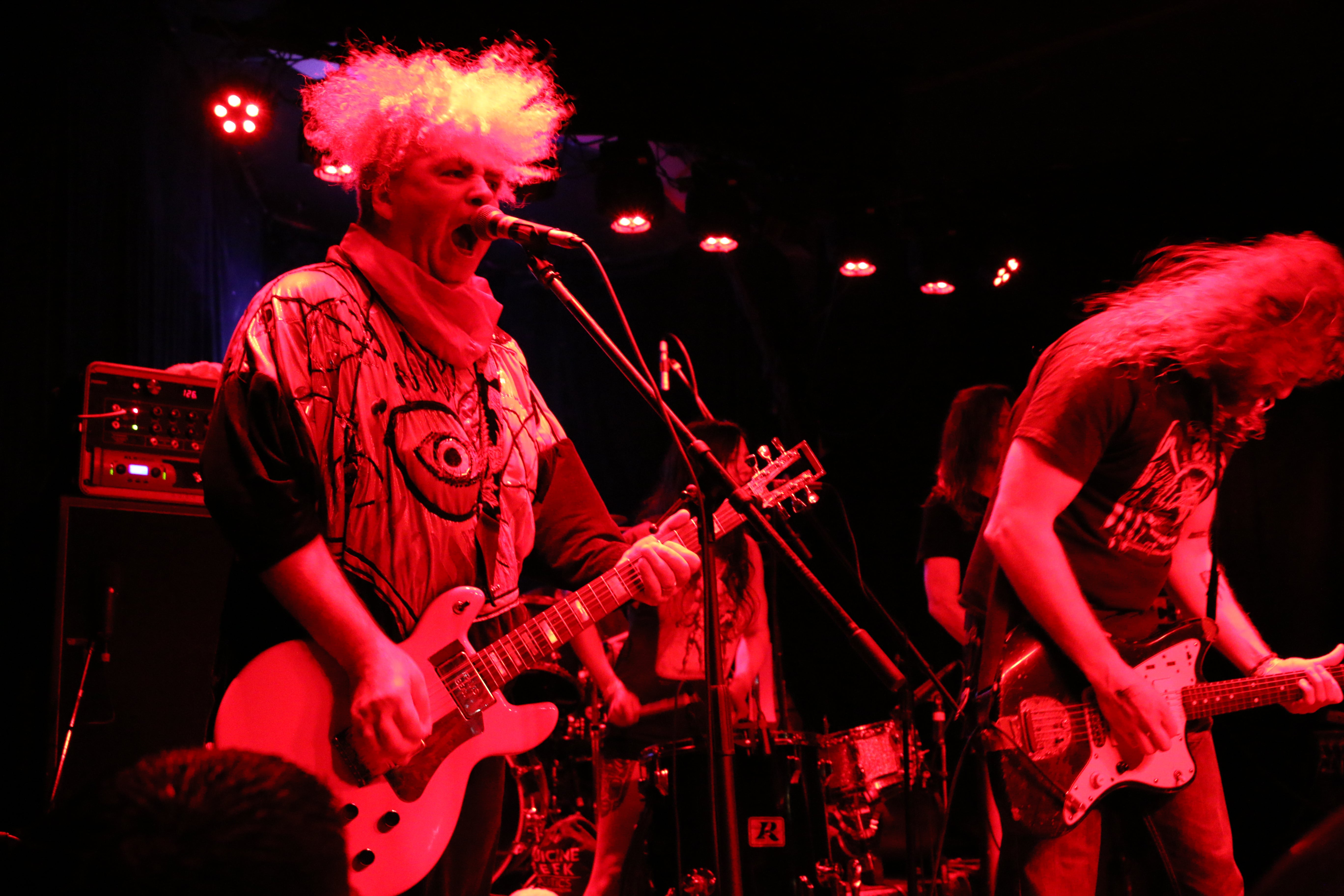 The Melvins