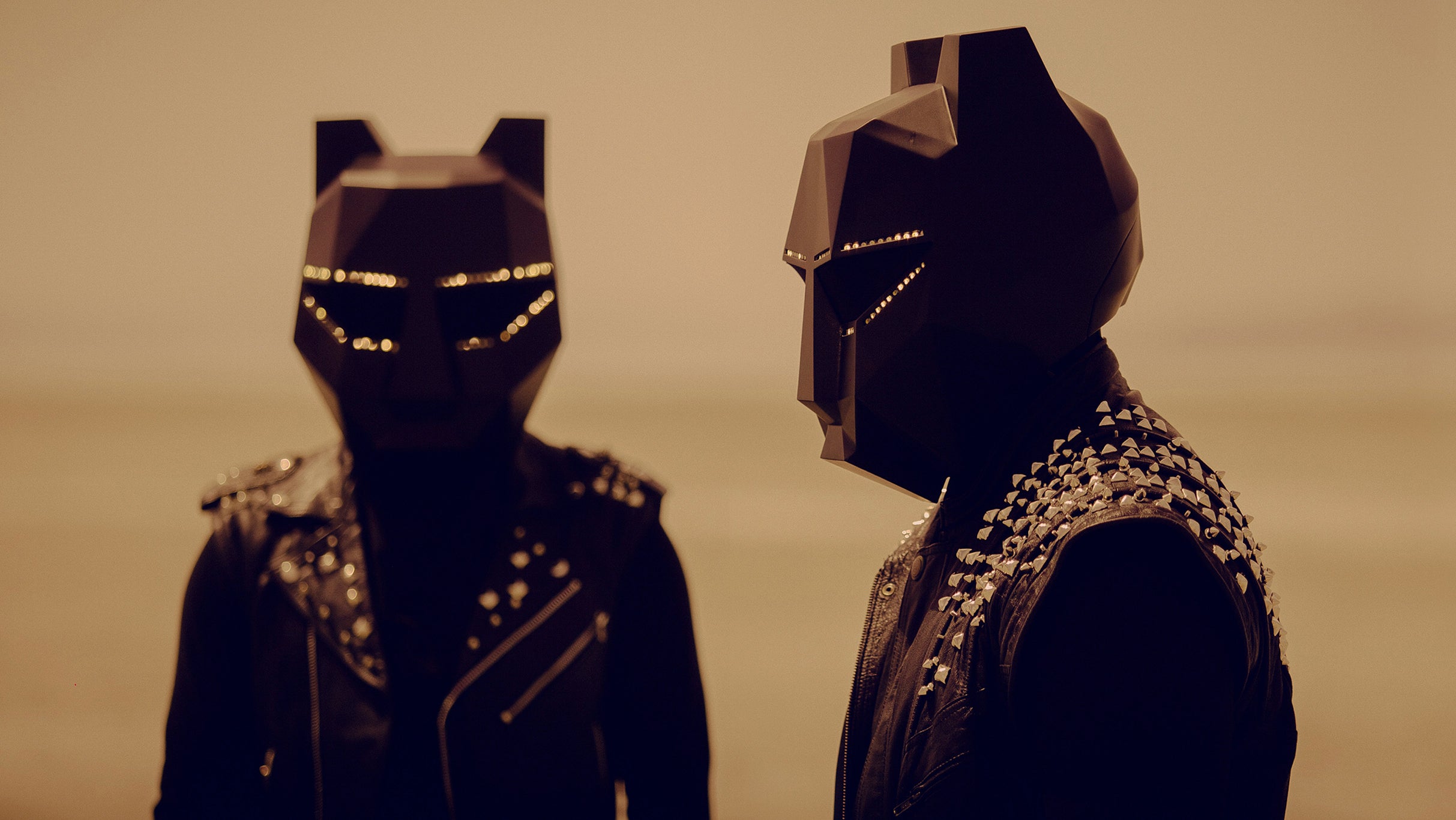 Black Tiger Sex Machine: Unmasked